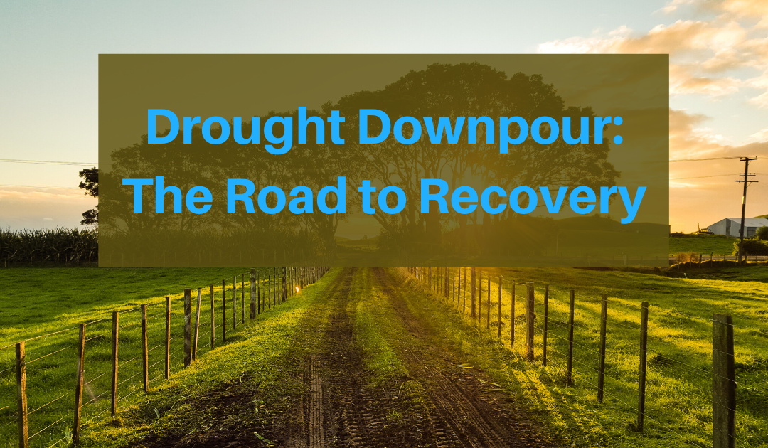 Drought Downpour Part 2: